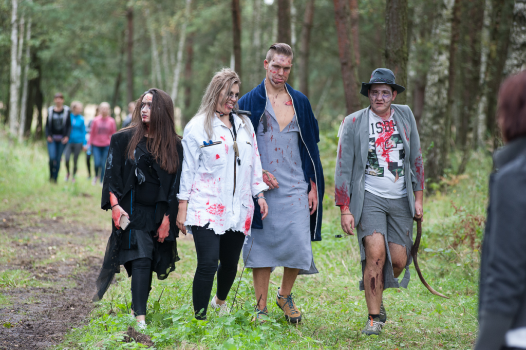 Zombie land